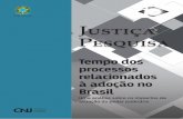 Tempo dos processos relacionados à adoção no Brasil