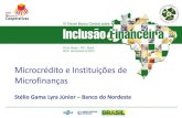 Microcrédito e Instituições de Microfinanças