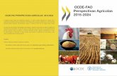 Perspectivas Agrícolas 2015-2024 – Capítulo Brasil