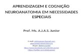 Aprendizagem e cognição neuroanatomia em necessidades especiais revisado