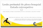 Lesão perinatal do plexo braquial.pdf