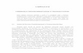 11 - CAPÍTULO II - Liderança Transformacional e Transaccional