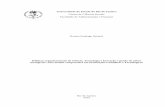 Politicas Organizacionais CTI_Mestrado.PDF