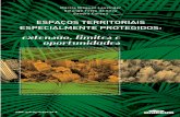Ebook Espaços territoriais.pdf