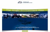 Sistema de Gestão Ambiental (The Anglo American Environment Way)
