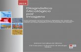 Diagnóstico Micológico por Imagens (2.700 Kb)