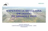 EXPERIÊNCIA BRASILEIRA EM DESVIO DE GRANDES RIOS DE ...