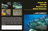 Livro peixes de costao rochoso.pdf