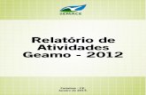 Relatório de Atividades Geamo – 2012