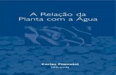 A Relação da Planta com a Agua by Carlos Pimentel