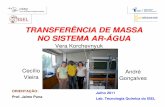 Transferência de Massa no Sistema Ar-Água (pdf)