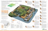 Baixe o infográfico do processo de produção de celulose na Fibria