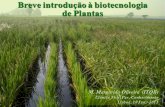 Breve introdução à biotecnologia de plantas
