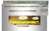 Protecção Fitossanitária em Agricultura Biológica.