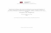 Dissertação M-EE - Ricardo Vega 50028852.pdf