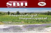 Revista SBH – Ano 1. Número 2. 2014