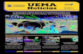 Clique aqui para acessar a 2ª edição do Jornal da Uema