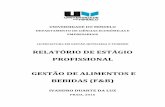 Ivandro da Luz 2016. Relatório de Estágio Profissional.pdf
