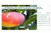 Manual de Arborização Urbana - Belém