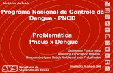 Problemática Pneus x Dengue Programa Nacional de Controle da ...
