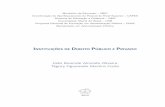 Livro instituições de direito publico e privado.pdf