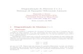 Diagonalização de Matrizes e Sistemas de Equações Diferenciais