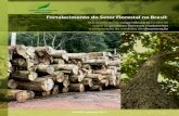 Fortalecimento do Setor Florestal no Brasil: