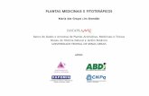 Plantas Medicinais e Fitoterápicos.p65