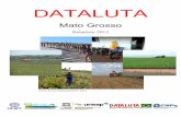Relatório Mato Grosso