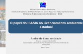 O papel do IBAMA no Licenciamento Ambiental Estadual