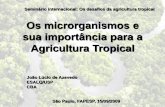 Os microrganismos e sua importância para a Agricultura Tropical