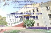 Interação Planta Micro-organismos