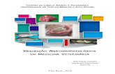 descrição anatomopatológica em medicina veterinária descrição ...