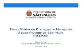 Plano Diretor de Drenagem e Manejo de Águas Pluviais de São ...