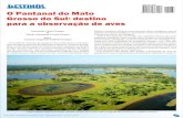 O Pantanal do Mato Grosso do Sul destino para a observação de aves