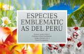 Especies emblemáticas del perú