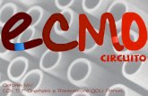 ECMO: circuito