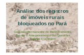 Análise dos registros de imóveis rurais bloqueados no Pará