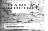 Darcy Riberiro - Encontro de Escritores Mineiros