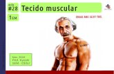 1EM #28 Tecido muscular (2016)