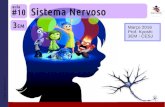 3EM #10 Sistema Nervoso (2016)