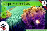 1EM #10 Transporte na membrana (2016)