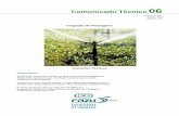 Comunicado Técnico 06 - PARA SITE