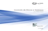 Livro Controle de Riscos e Sinistros.pdf