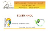 Bioetanol - Prof Dr Joel Gustavo Teleken