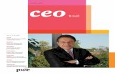 Revista CEO 30