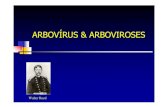 ARBOVÍRUS & ARBOVIROSES
