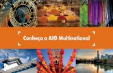 Conheça a AIG Multinational