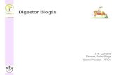 Digestor Biogás