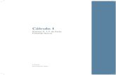 Cálculo I - FINAL.pdf